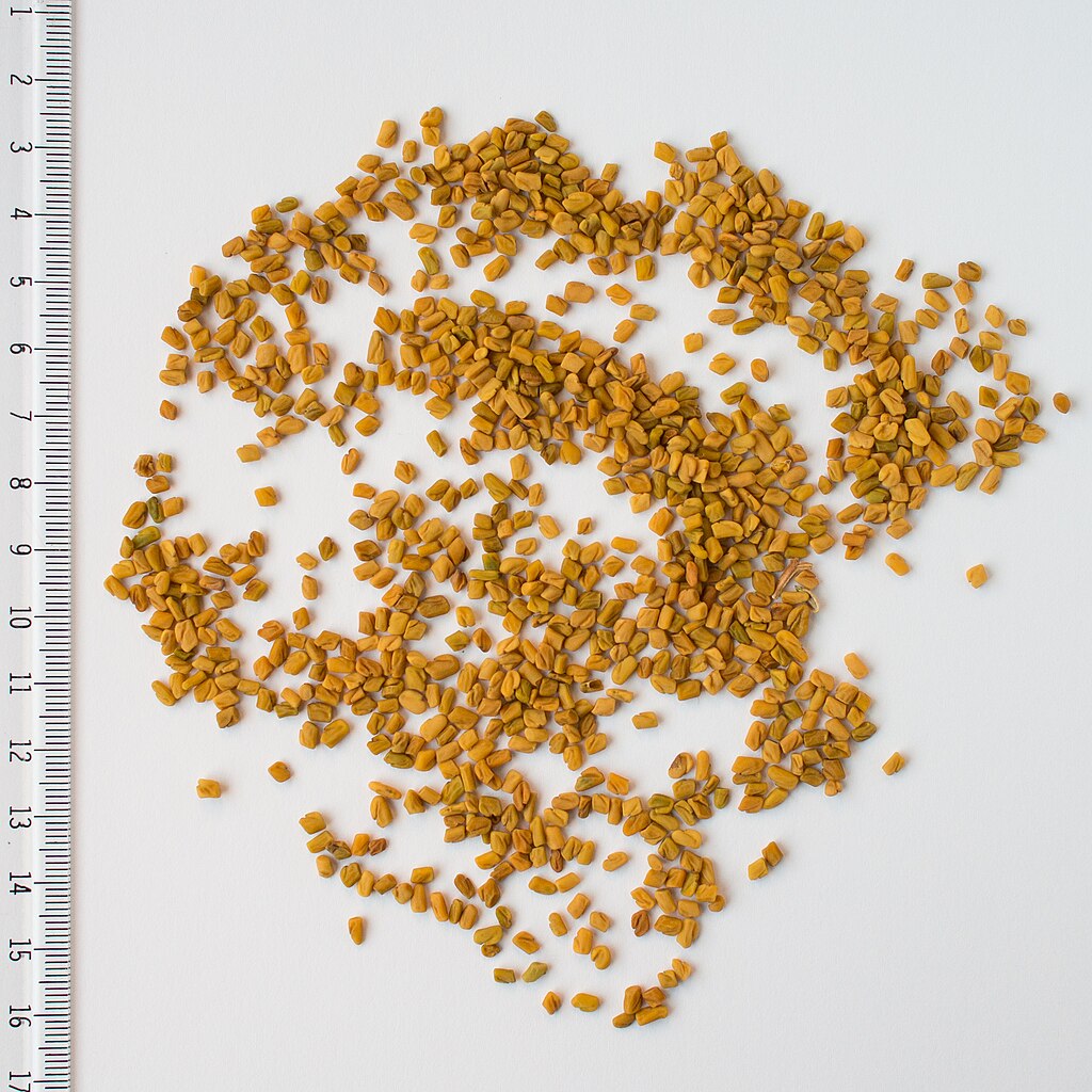 Fenugreek Pharaon Black (oil)